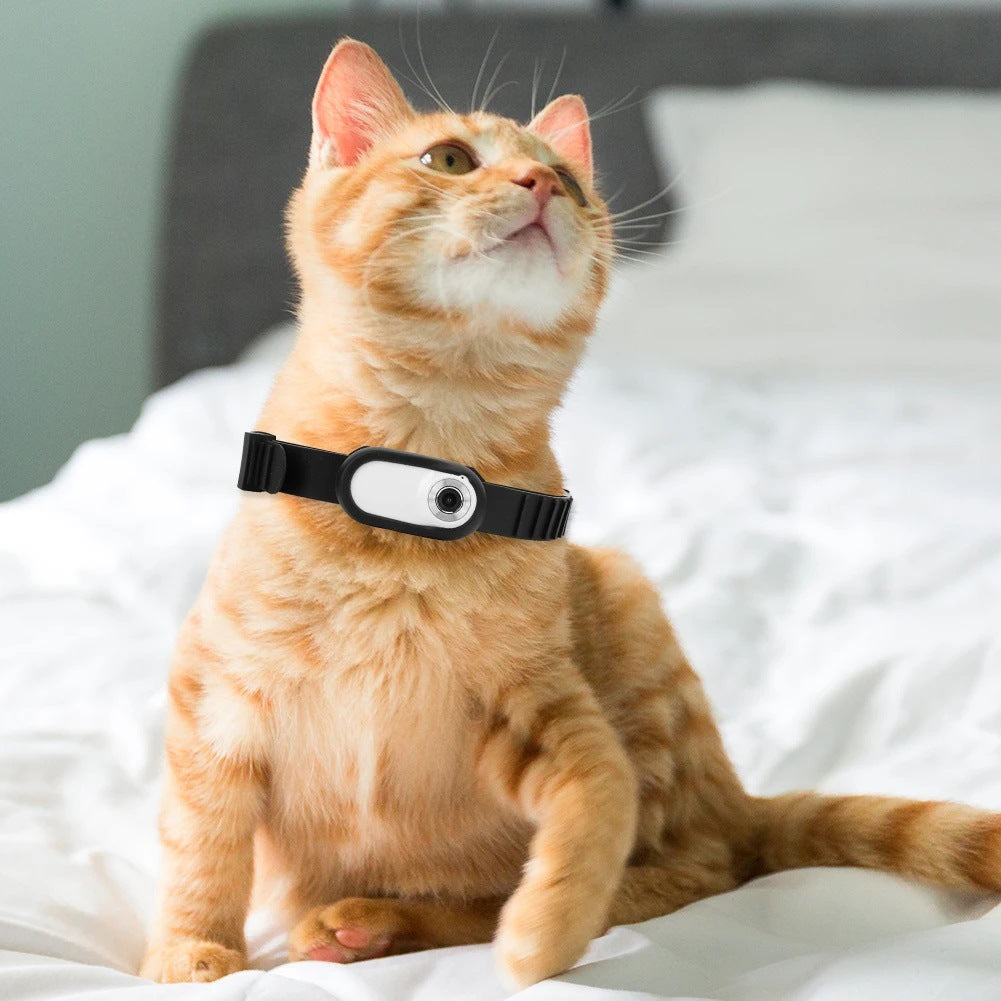 Pet camera