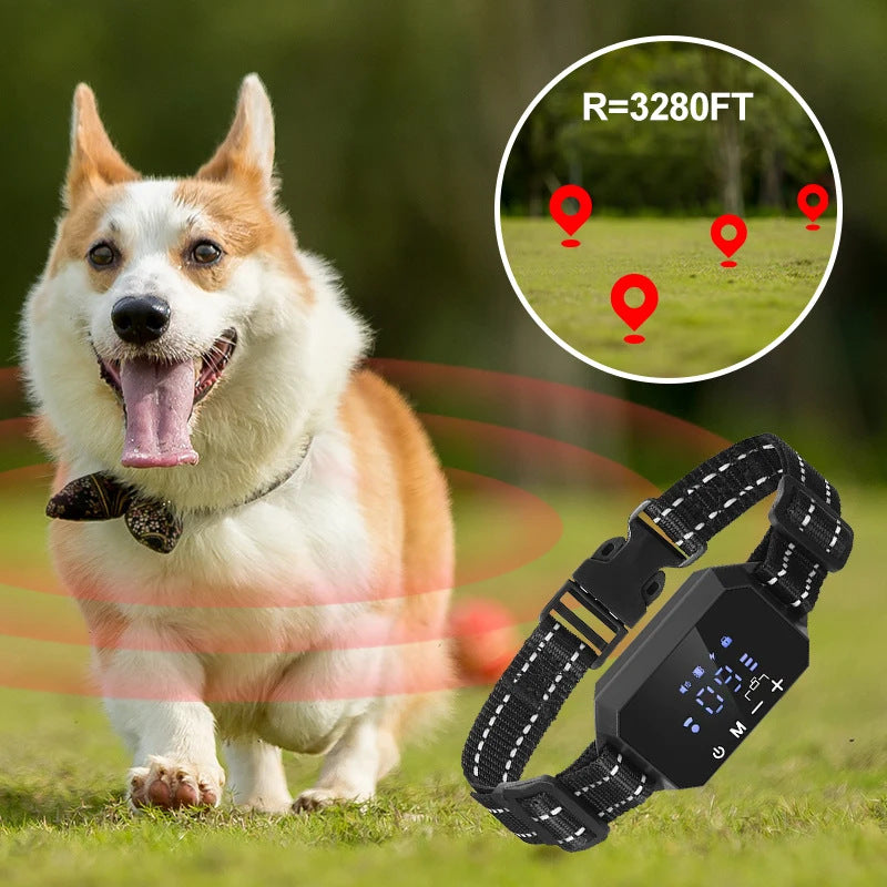 Pet training collar