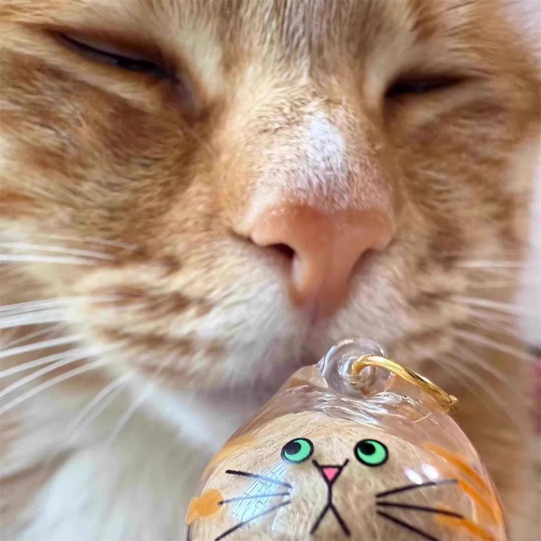 Cat Hair Capsule