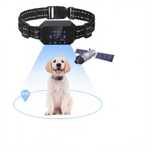 Pet training collar