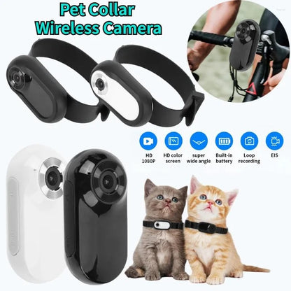 Pet camera