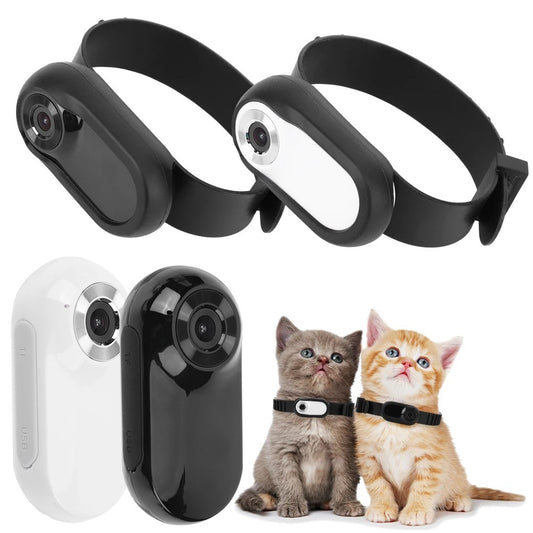 Pet camera